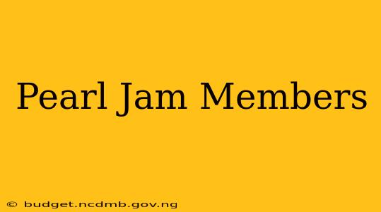Pearl Jam Members