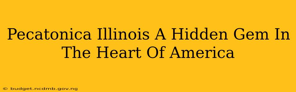 Pecatonica Illinois A Hidden Gem In The Heart Of America