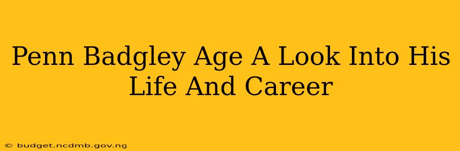 Penn Badgley Age A Look Into His Life And Career