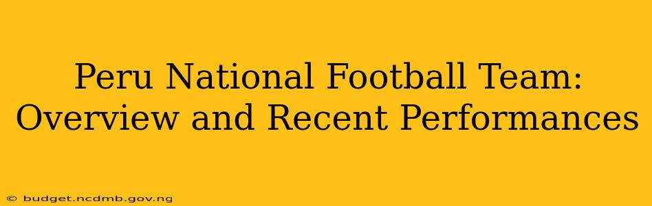 Peru National Football Team: Overview and Recent Performances