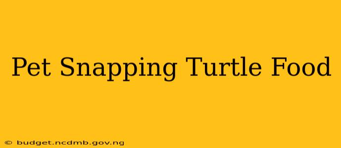 Pet Snapping Turtle Food