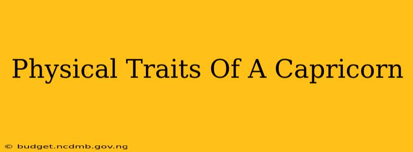 Physical Traits Of A Capricorn
