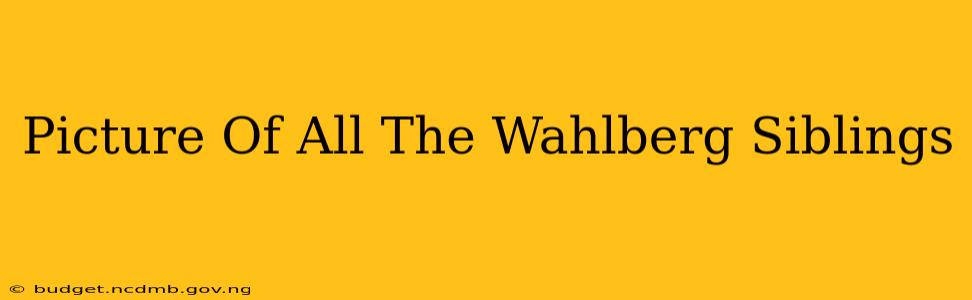 Picture Of All The Wahlberg Siblings