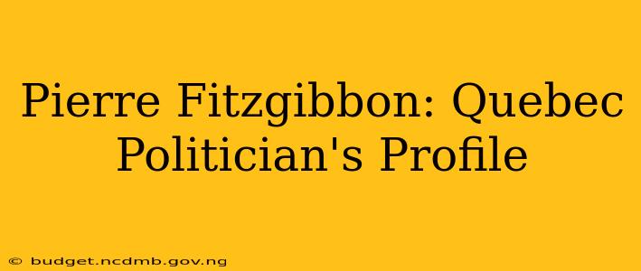 Pierre Fitzgibbon: Quebec Politician's Profile