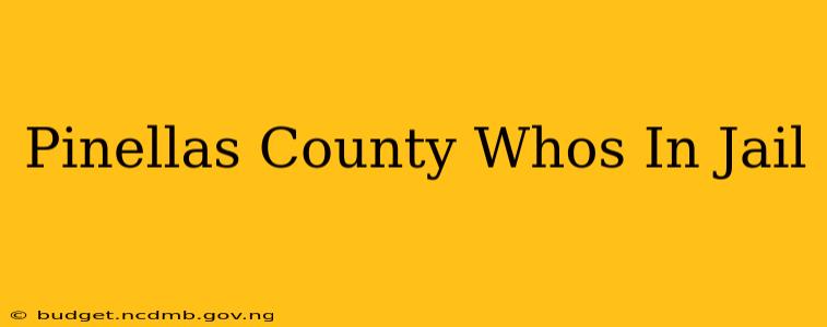 Pinellas County Whos In Jail