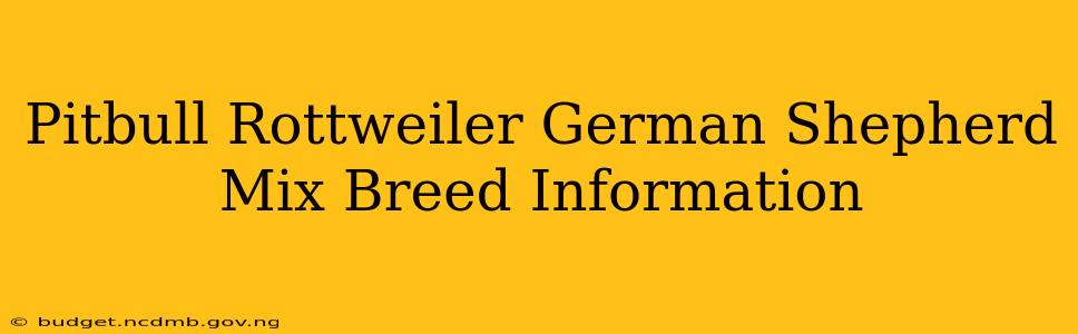 Pitbull Rottweiler German Shepherd Mix Breed Information