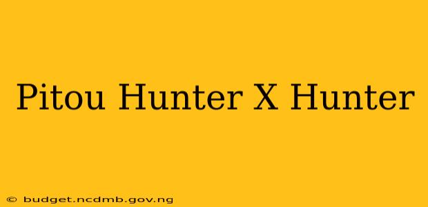Pitou Hunter X Hunter