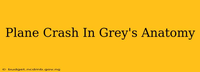 Plane Crash In Grey's Anatomy