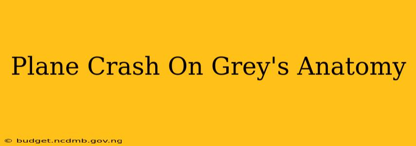 Plane Crash On Grey's Anatomy