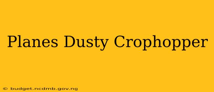 Planes Dusty Crophopper