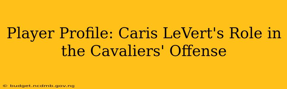 Player Profile: Caris LeVert's Role in the Cavaliers' Offense