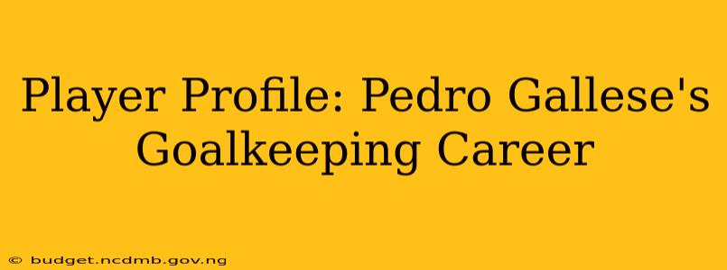 Player Profile: Pedro Gallese's Goalkeeping Career