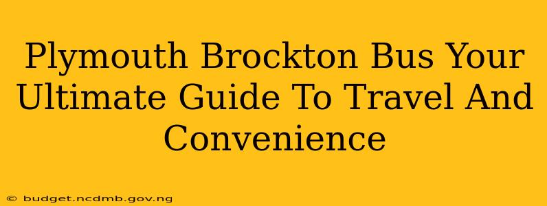 Plymouth Brockton Bus Your Ultimate Guide To Travel And Convenience