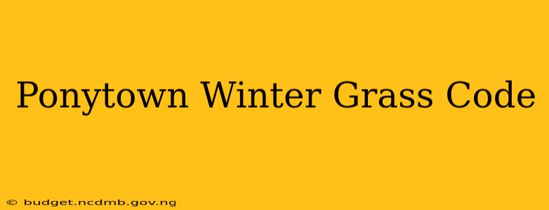 Ponytown Winter Grass Code