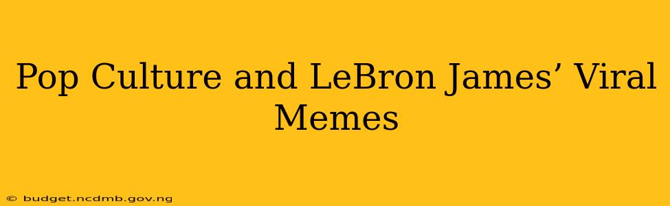 Pop Culture and LeBron James’ Viral Memes