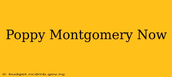 Poppy Montgomery Now