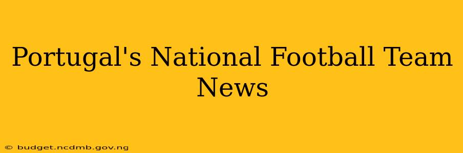 Portugal's National Football Team News