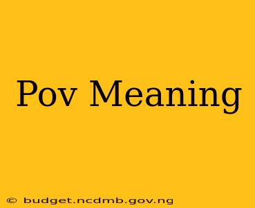Pov Meaning