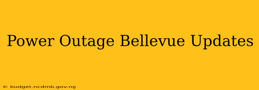 Power Outage Bellevue Updates