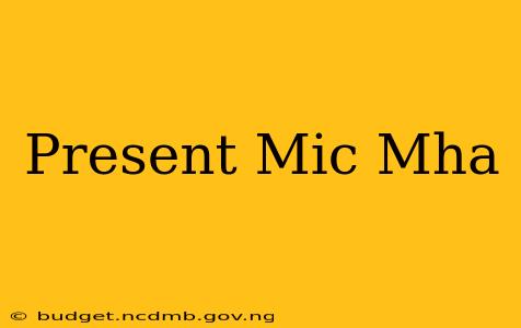 Present Mic Mha