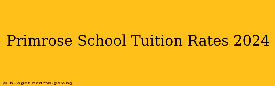 Primrose School Tuition Rates 2024