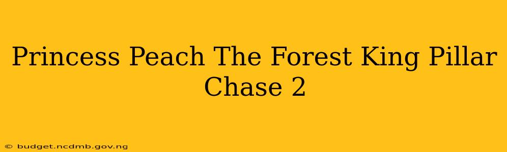 Princess Peach The Forest King Pillar Chase 2