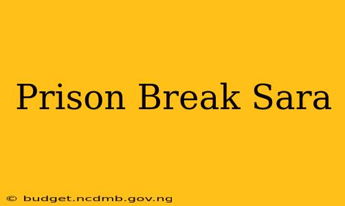 Prison Break Sara