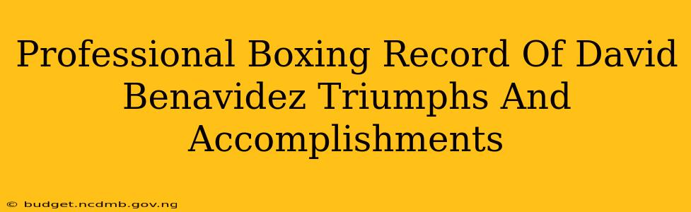 Professional Boxing Record Of David Benavidez Triumphs And Accomplishments