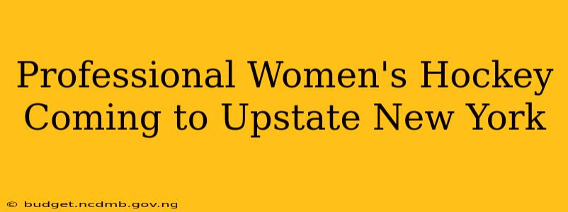 Professional Women's Hockey Coming to Upstate New York