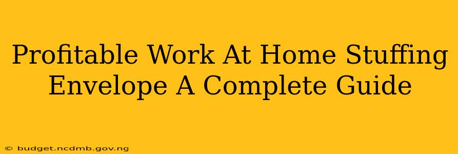 Profitable Work At Home Stuffing Envelope A Complete Guide