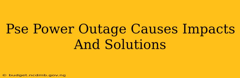 Pse Power Outage Causes Impacts And Solutions