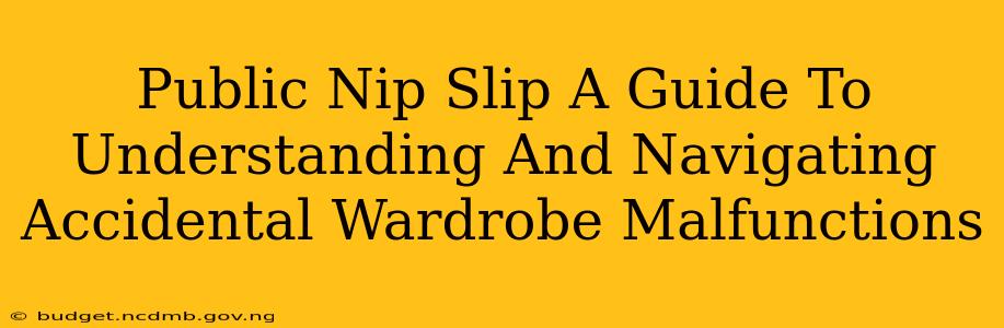 Public Nip Slip A Guide To Understanding And Navigating Accidental Wardrobe Malfunctions