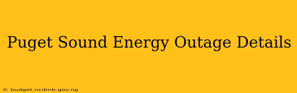 Puget Sound Energy Outage Details