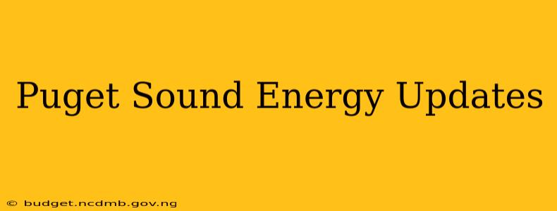 Puget Sound Energy Updates