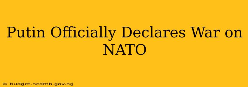 Putin Officially Declares War on NATO