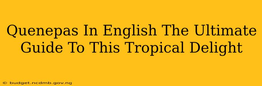 Quenepas In English The Ultimate Guide To This Tropical Delight