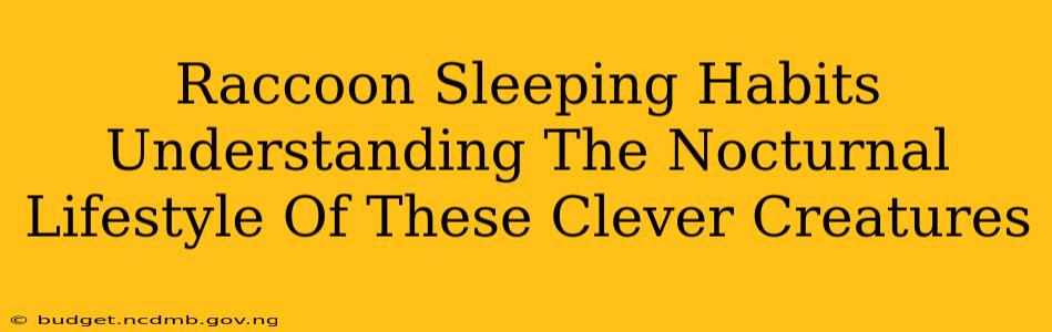Raccoon Sleeping Habits Understanding The Nocturnal Lifestyle Of These Clever Creatures