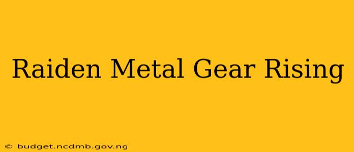 Raiden Metal Gear Rising