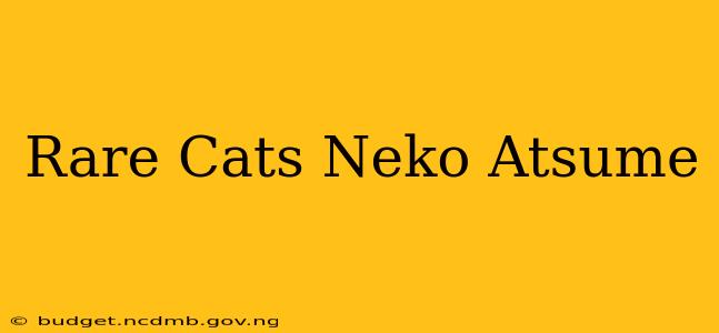 Rare Cats Neko Atsume