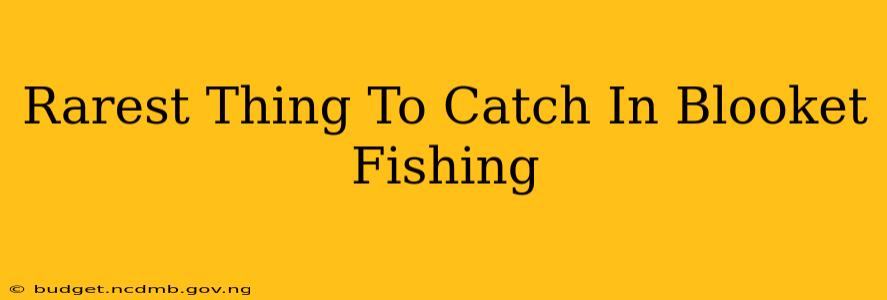 Rarest Thing To Catch In Blooket Fishing