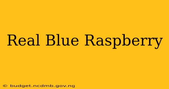 Real Blue Raspberry