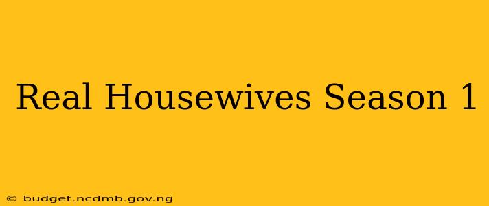 Real Housewives Season 1