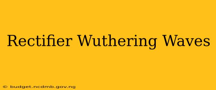 Rectifier Wuthering Waves