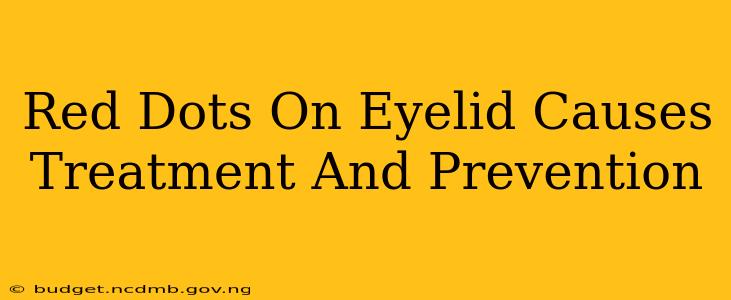 Red Dots On Eyelid Causes Treatment And Prevention