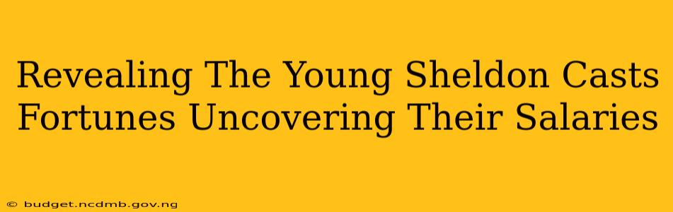 Revealing The Young Sheldon Casts Fortunes Uncovering Their Salaries