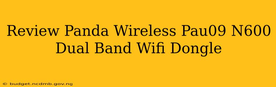 Review Panda Wireless Pau09 N600 Dual Band Wifi Dongle
