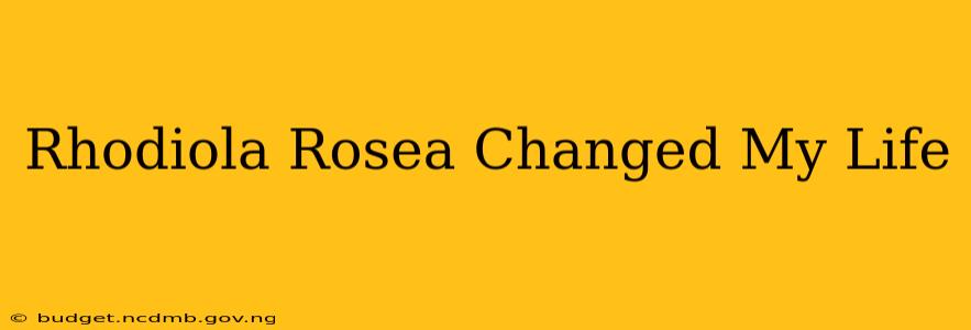Rhodiola Rosea Changed My Life