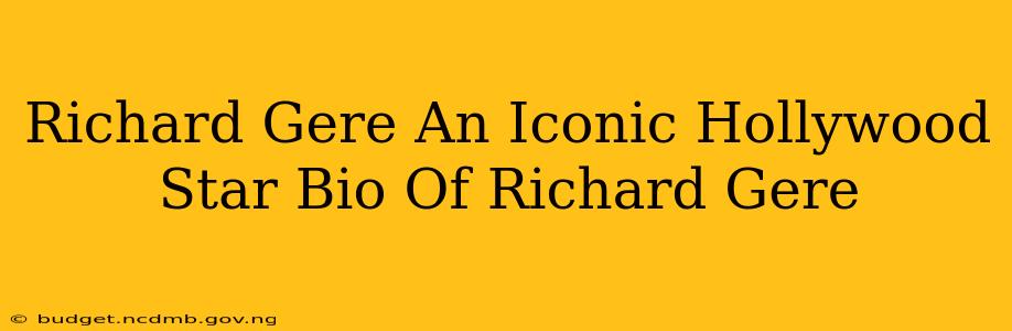 Richard Gere An Iconic Hollywood Star Bio Of Richard Gere