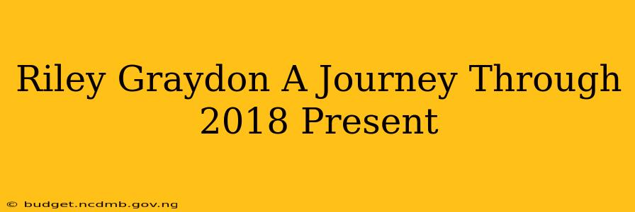Riley Graydon A Journey Through 2018 Present