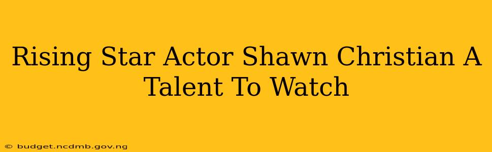 Rising Star Actor Shawn Christian A Talent To Watch